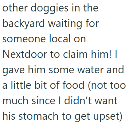 other doggies in the backyard waiting for someone local on Nextdoor to claim him! I gave him some water and a little bit of food (not too much since I didn't want his stomach to get upset)