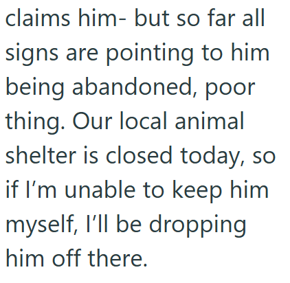claims him- but so far all signs are pointing to him being abandoned, poor thing. Our local animal shelter is closed today, so if I'm unable to keep him myself, I'll be dropping him off there.