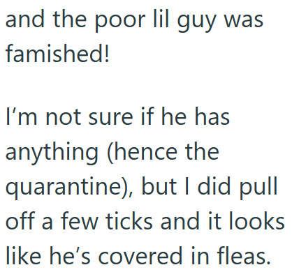 and the poor lil guy was famished! I'm not sure if he has anything (hence the quarantine), but I did pull off a few ticks and it looks like he's covered in fleas.