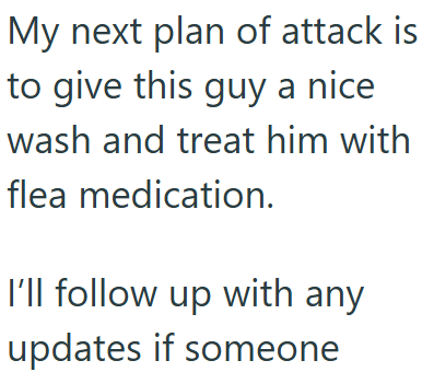My next plan of attack is to give this guy a nice wash and treat him with flea medication. I'll follow up with any updates if someone