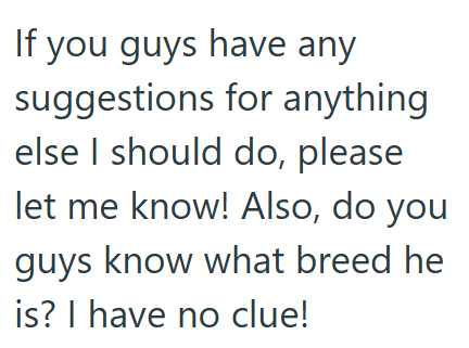 If you guys have any suggestions for anything else I should do, please let me know! Also, do you guys know what breed he is? I have no clue!