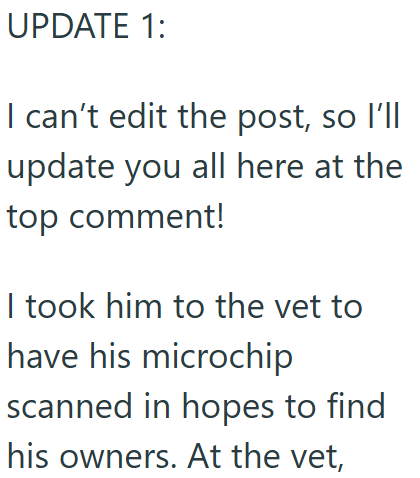 UPDATE 1: I can't edit the post, so I'll update you all here at the top comment! I took him to the vet to have his microchip scanned in hopes to find his owners. At the vet,