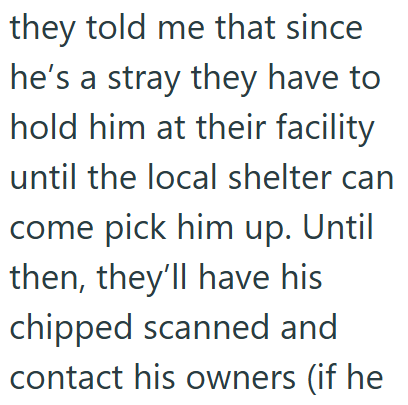 they told me that since he's a stray they have to hold him at their facility until the local shelter can come pick him up. Until then, they'll have his chipped scanned and contact his owners (if he