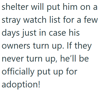shelter will put him on a stray watch list for a few days just in case his owners turn up. If they never turn up, he'll be officially put up for adoption!