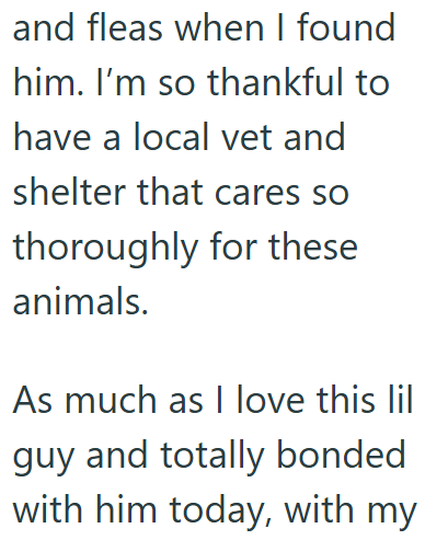 and fleas when I found him. I'm so thankful to have a local vet and shelter that cares so thoroughly for these animals. As much as I love this lil guy and totally bonded with him today, with my