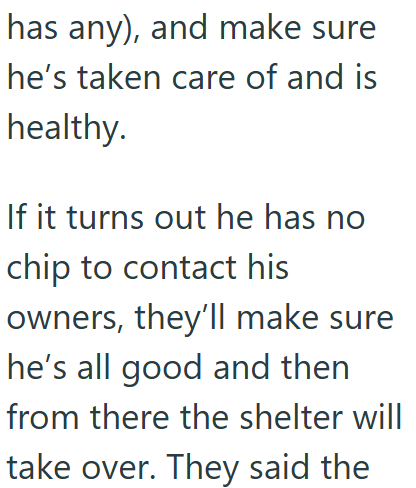 has any), and make sure he's taken care of and is healthy. If it turns out he has no chip to contact his owners, they'll make sure he's all good and then from there the shelter will take over. They said the