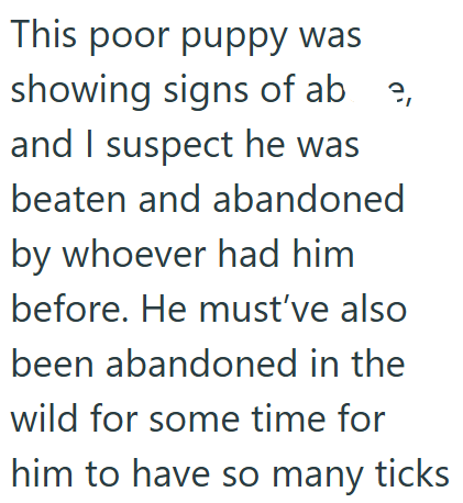 This poor puppy was 9, showing signs of ab and I suspect he was beaten and abandoned by whoever had him before. He must've also been abandoned in the wild for some time for him to have so many ticks