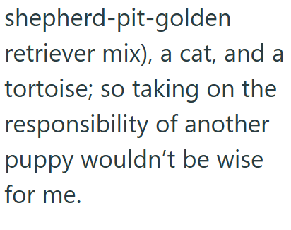 shepherd-pit-golden retriever mix), a cat, and a tortoise; so taking on the responsibility of another puppy wouldn't be wise for me.