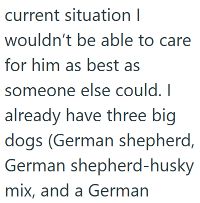 current situation I wouldn't be able to care for him as best as someone else could. I already have three big dogs (German shepherd, German shepherd-husky mix, and a German