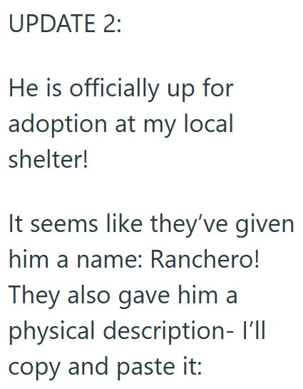 UPDATE 2: He is officially up for adoption at my local shelter! It seems like they've given him a name: Ranchero! They also gave him a physical description- I'll copy and paste it: