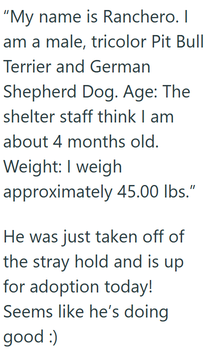 "My name is Ranchero. I am a male, tricolor Pit Bull Terrier and German Shepherd Dog. Age: The shelter staff think I am about 4 months old. Weight: I weigh approximately 45.00 lbs." He was just taken off of the stray hold and is up for adoption today! Seems like he's doing good :)
