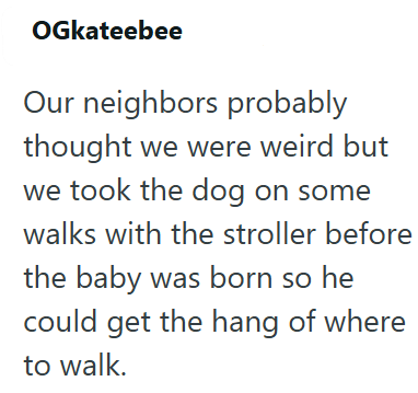 OGkateebee Our neighbors probably thought we were weird but we took the dog on some walks with the stroller before the baby was born so he could get the hang of where to walk.