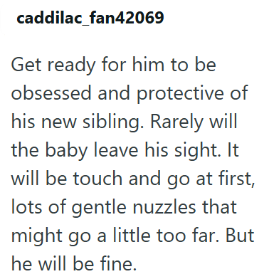 caddilac_fan42069 Get ready for him to be obsessed and protective of his new sibling. Rarely will the baby leave his sight. It will be touch and go at first, lots of gentle nuzzles that might go a little too far. But he will be fine.