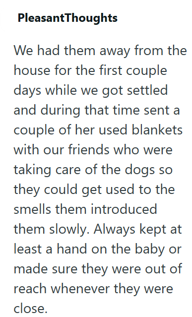 PleasantThoughts We had them away from the house for the first couple days while we got settled and during that time sent a couple of her used blankets with our friends who were taking care of the dogs so they could get used to the smells them introduced them slowly. Always kept at least a hand on the baby or made sure they were out of reach whenever they were close.