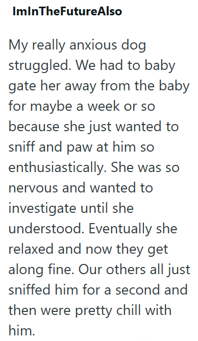 ImInTheFutureAlso My really anxious dog struggled. We had to baby gate her away from the baby for maybe a week or so because she just wanted to sniff and paw at him so enthusiastically. She was so nervous and wanted to investigate until she understood. Eventually she relaxed and now they get along fine. Our others all just sniffed him for a second and then were pretty chill with him.