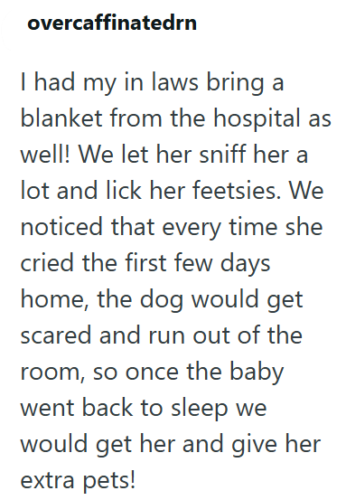 overcaffinatedrn I had my in laws bring a blanket from the hospital as well! We let her sniff her a lot and lick her feetsies. We noticed that every time she cried the first few days home, the dog would get scared and run out of the room, so once the baby went back to sleep we would get her and give her extra pets!