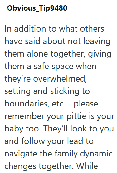 Obvious Tip9480 In addition to what others have said about not leaving them alone together, giving them a safe space when they're overwhelmed, setting and sticking to boundaries, etc. - please remember your pittie is your baby too. They'll look to you and follow your lead to navigate the family dynamic changes together. While