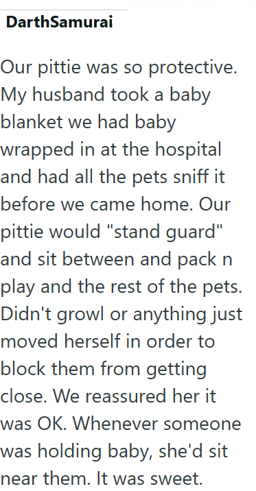 DarthSamurai Our pittie was so protective. My husband took a baby blanket we had baby wrapped in at the hospital and had all the pets sniff it before we came home. Our pittie would "stand guard" and sit between and pack n play and the rest of the pets. Didn't growl or anything just moved herself in order to block them from getting close. We reassured her it was OK. Whenever someone was holding baby, she'd sit near them. It was sweet.