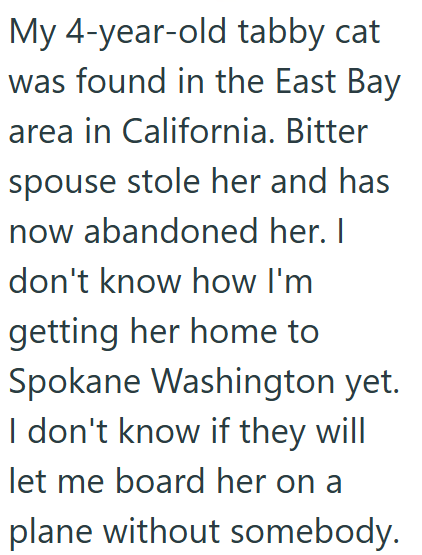 My 4-year-old tabby cat was found in the East Bay area in California. Bitter spouse stole her and has now abandoned her. I don't know how I'm getting her home to Spokane Washington yet. I don't know if they will let me board her on a plane without somebody.