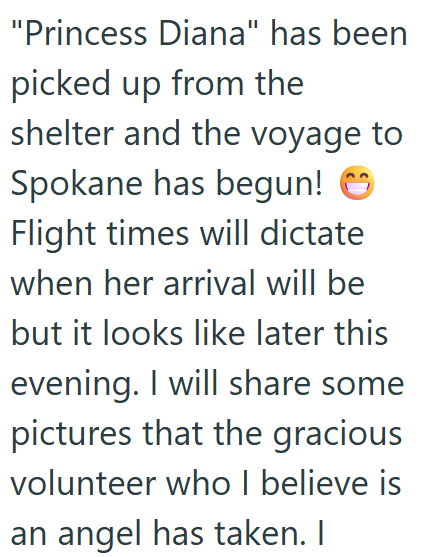 "Princess Diana" has been picked up from the shelter and the voyage to Spokane has begun! ✪ Flight times will dictate when her arrival will be but it looks like later this evening. I will share some pictures that the gracious volunteer who I believe is an angel has taken. I