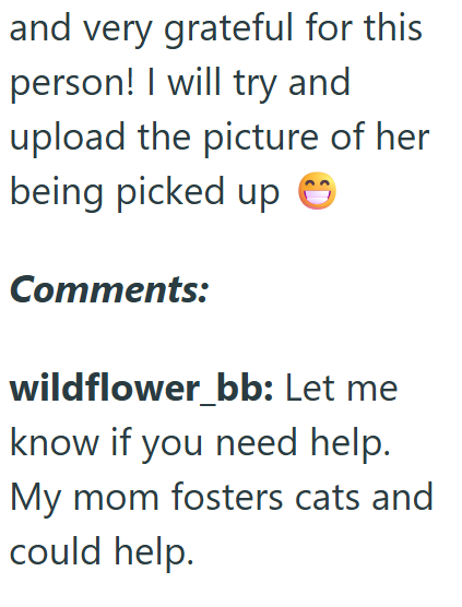 and very grateful for this person! I will try and upload the picture of her being picked up Ⓒ Comments: wildflower_bb: Let me know if you need help. My mom fosters cats and could help.