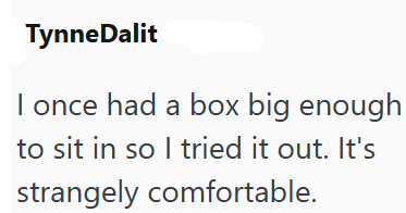 Tynne Dalit I once had a box big enough to sit in so I tried it out. It's strangely comfortable.