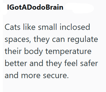 IGotADodoBrain Cats like small inclosed spaces, they can regulate their body temperature better and they feel safer and more secure.