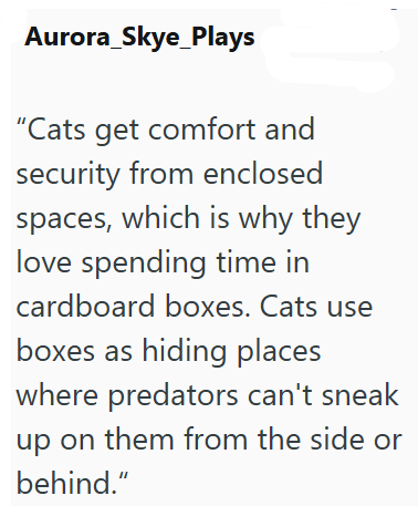 Aurora_Skye_Plays "Cats get comfort and security from enclosed spaces, which is why they love spending time in cardboard boxes. Cats use boxes as hiding places where predators can't sneak up on them from the side or behind."