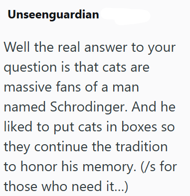Unseenguardian Well the real answer to your question is that cats are massive fans of a man named Schrodinger. And he liked to put cats in boxes so they continue the tradition to honor his memory. (/s for those who need it...)