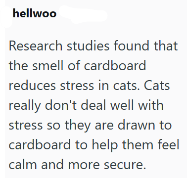 hellwoo Research studies found that the smell of cardboard reduces stress in cats. Cats really don't deal well with stress so they are drawn to cardboard to help them feel calm and more secure.