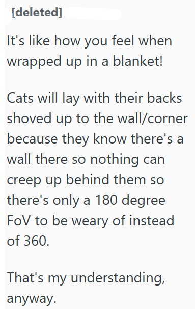 [deleted] It's like how you feel when wrapped up in a blanket! Cats will lay with their backs shoved up to the wall/corner because they know there's a wall there so nothing can creep up behind them so there's only a 180 degree FoV to be weary of instead of 360. That's my understanding, anyway.