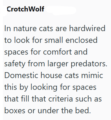 CrotchWolf In nature cats are hardwired to look for small enclosed spaces for comfort and safety from larger predators. Domestic house cats mimic this by looking for spaces that fill that criteria such as boxes or under the bed.