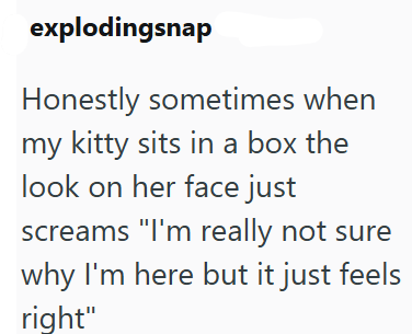 explodingsnap Honestly sometimes when my kitty sits in a box the look on her face just screams "I'm really not sure why I'm here but it just feels right"