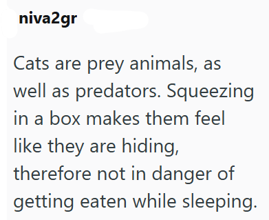 niva2gr Cats are prey animals, as well as predators. Squeezing in a box makes them feel like they are hiding, therefore not in danger of getting eaten while sleeping.