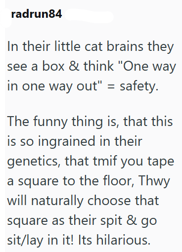 radrun84 In their little cat brains they see a box & think "One way in one way out" = safety. The funny thing is, that this is so ingrained in their genetics, that tmif you tape a square to the floor, Thwy will naturally choose that square as their spit & go sit/lay in it! Its hilarious.