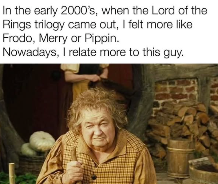 In the early 2000's, when the Lord of the Rings trilogy came out, I felt more like Frodo, Merry or Pippin. Nowadays, I relate more to this guy.