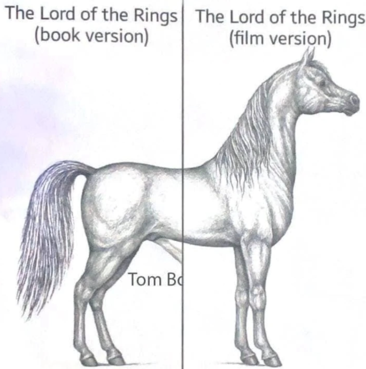 The Lord of the Rings The Lord of the Rings (book version) Tom B (film version)