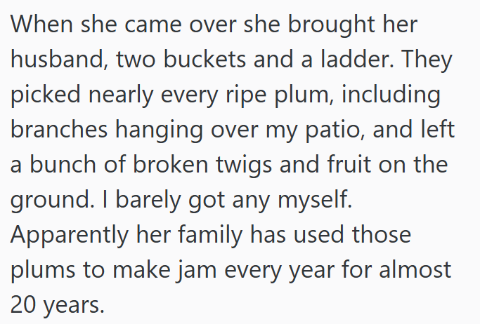 When she came over she brought her husband, two buckets and a ladder. They picked nearly every ripe plum, including branches hanging over my patio, and left a bunch of broken twigs and fruit on the ground. I barely got any myself. Apparently her family has used those plums to make jam every year for almost 20 years.