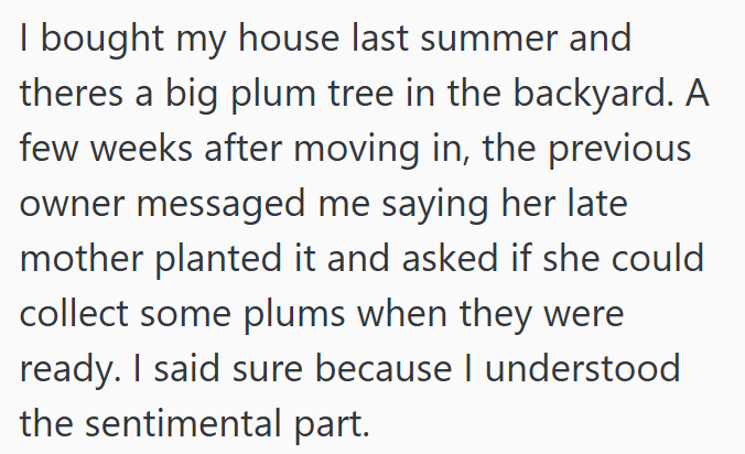 I bought my house last summer and theres a big plum tree in the backyard. A few weeks after moving in, the previous owner messaged me saying her late mother planted it and asked if she could collect some plums when they were ready. I said sure because I understood the sentimental part.