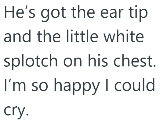 He's got the ear tip and the little white splotch on his chest. I'm so happy I could cry.