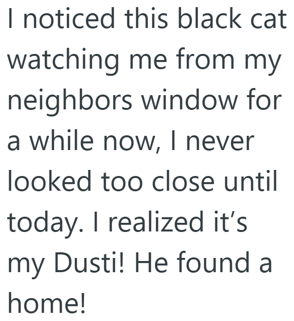 I noticed this black cat watching me from my neighbors window for a while now, I never looked too close until today. I realized it's my Dusti! He found a home!