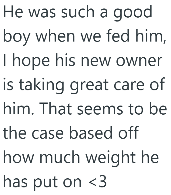 He was such a good boy when we fed him, I hope his new owner is taking great care of him. That seems to be the case based off how much weight he has put on <3