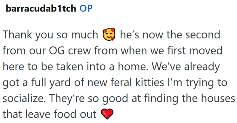 barracudab1tch OP Thank you so much he's now the second from our OG crew from when we first moved here to be taken into a home. We've already got a full yard of new feral kitties I'm trying to socialize. They're so good at finding the houses that leave food out