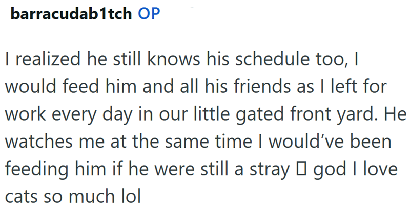 barracudab1tch OP I realized he still knows his schedule too, I would feed him and all his friends as I left for work every day in our little gated front yard. He watches me at the same time I would've been feeding him if he were still a stray □ god I love cats so much lol