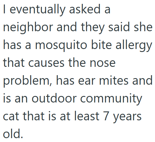 I eventually asked a neighbor and they said she has a mosquito bite allergy that causes the nose problem, has ear mites and is an outdoor community cat that is at least 7 years old.