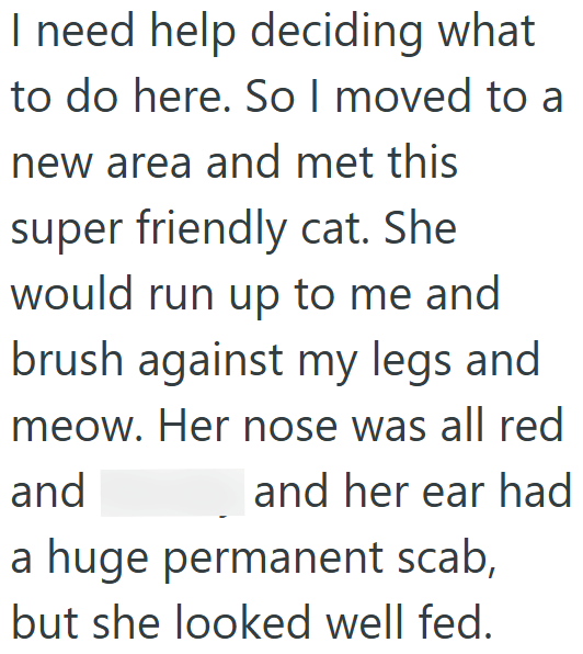 I need help deciding what to do here. So I moved to a new area and met this super friendly cat. She would run up to me and brush against my legs and meow. Her nose was all red and and her ear had a huge permanent scab, but she looked well fed.