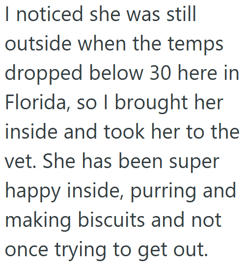I noticed she was still outside when the temps dropped below 30 here in Florida, so I brought her inside and took her to the vet. She has been super happy inside, purring and making biscuits and not once trying to get out.