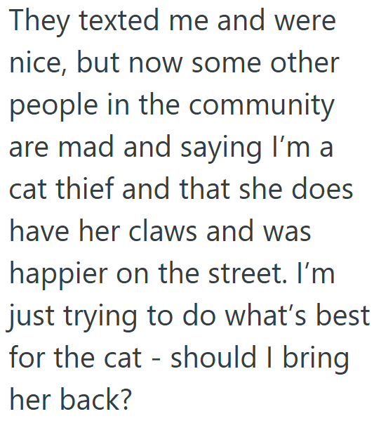 They texted me and were nice, but now some other people in the community are mad and saying I'm a cat thief and that she does have her claws and was happier on the street. I'm just trying to do what's best for the cat - should I bring her back?