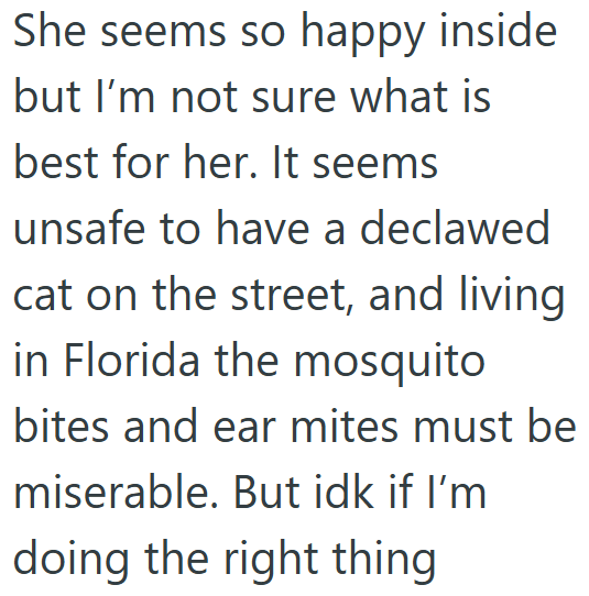 She seems so happy inside but I'm not sure what is best for her. It seems unsafe to have a declawed cat on the street, and living in Florida the mosquito bites and ear mites must be miserable. But idk if I'm doing the right thing