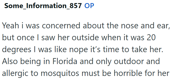 Some_Information_857 OP Yeah i was concerned about the nose and ear, but once I saw her outside when it was 20 degrees I was like nope it's time to take her. Also being in Florida and only outdoor and allergic to mosquitos must be horrible for her